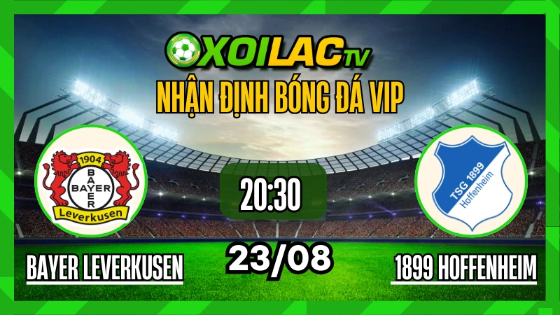 Nhận định Bayer Leverkusen vs Hoffenheim 23/08/2025, Cơn lốc đỏ thị uy